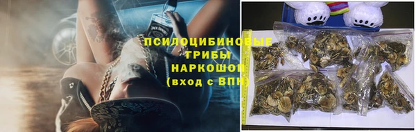 круглые Белокуриха