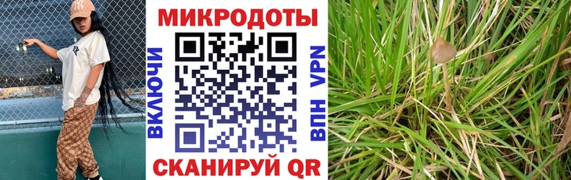 Купить где  Трёхгорный  Галлюциногенные грибы мухоморы 